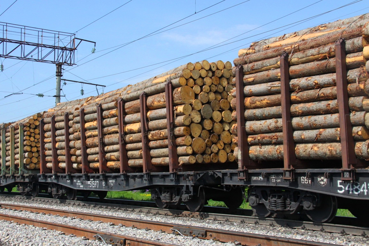 Экспорт древесины из России