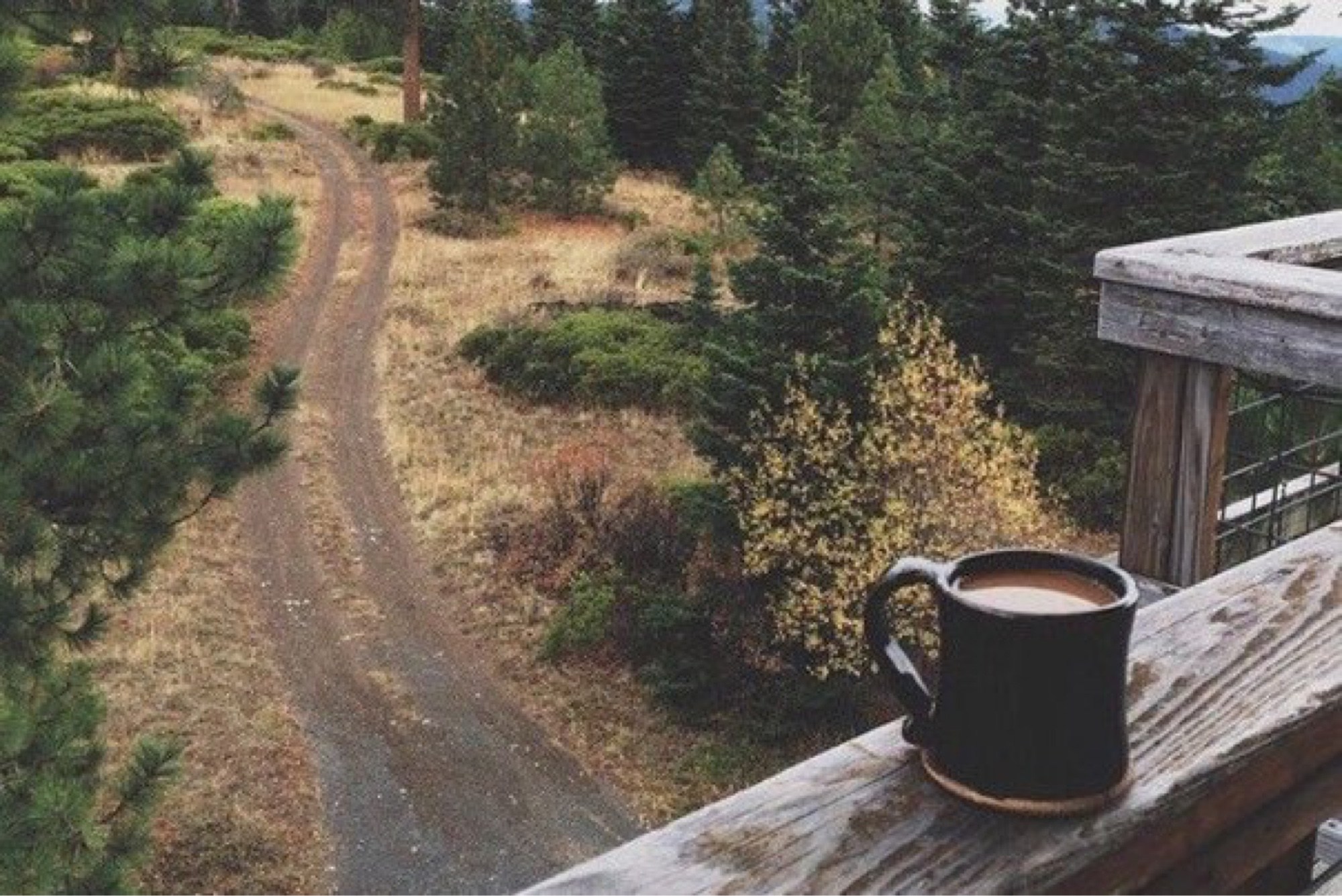 Утренний кофе в лесу