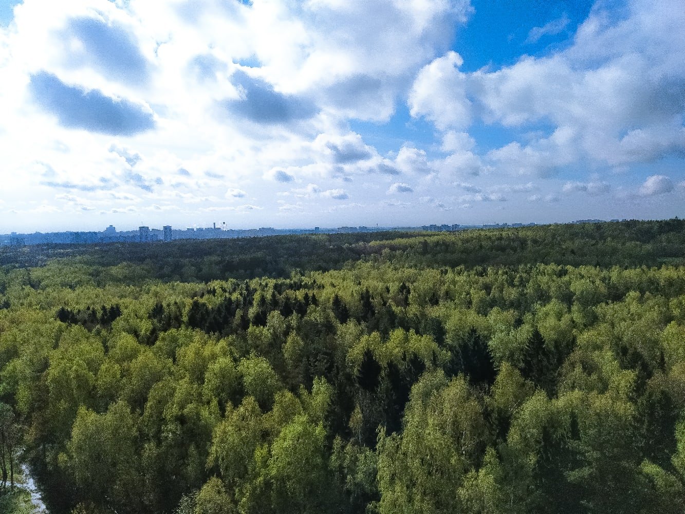 Район Ясенево Битцевский лес