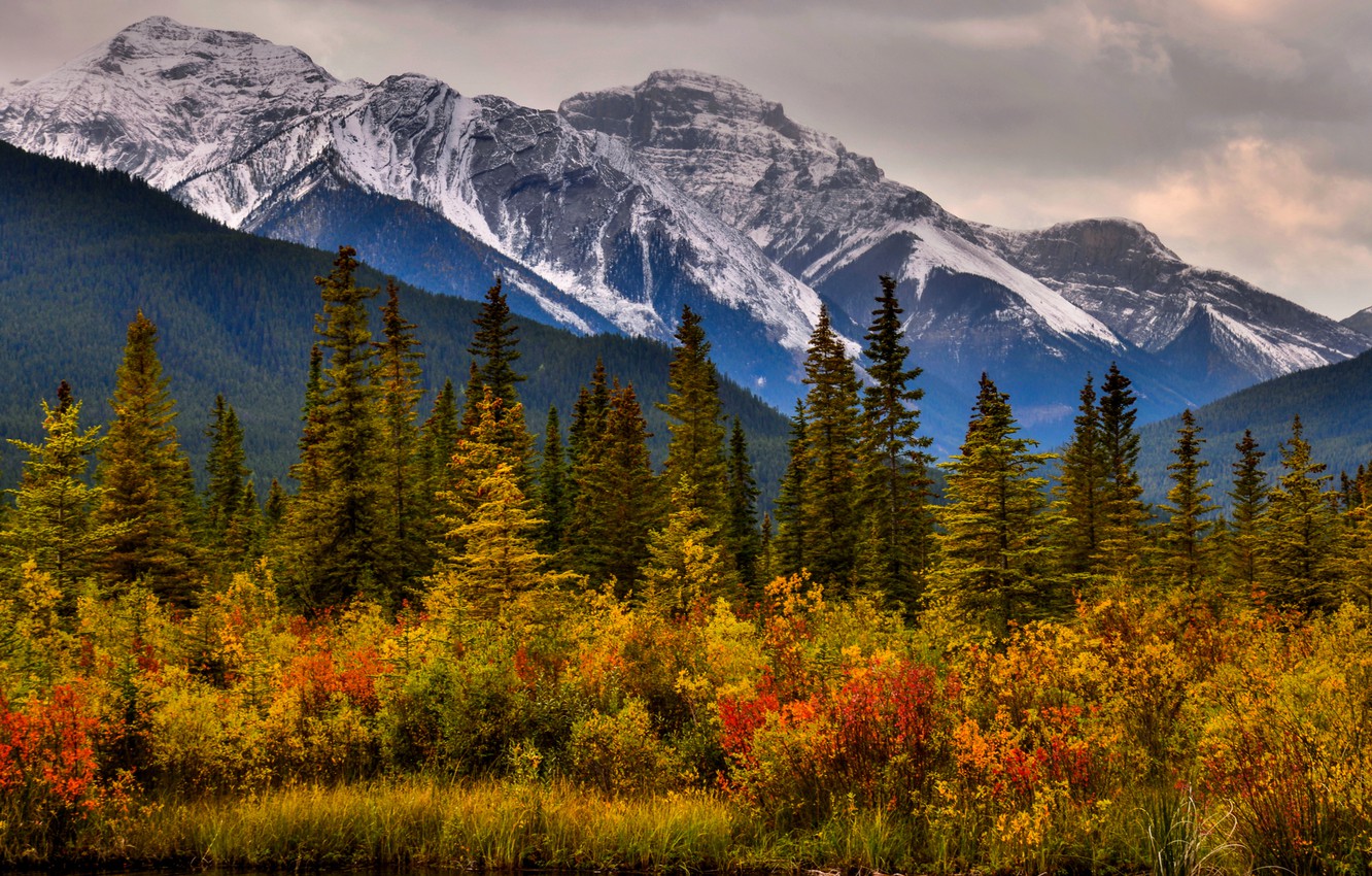 Канада скалистые горы осень