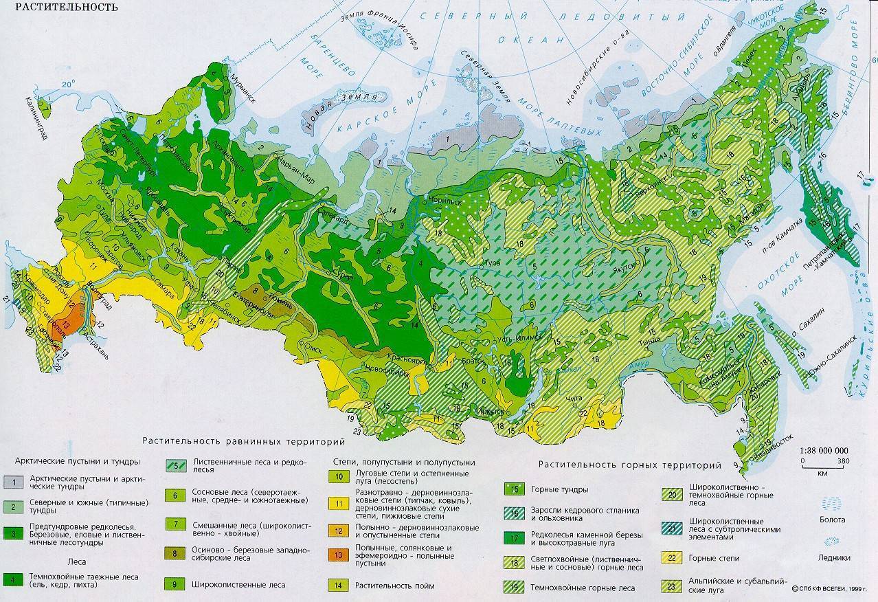Карта лесов самарской области по видам деревьев