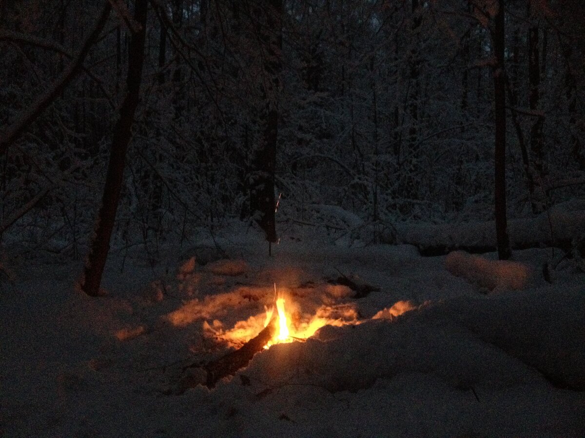 Костер в зимнем ночном лесу