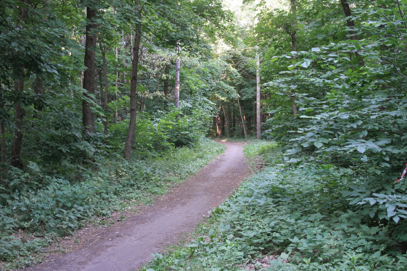 Щепкинский лес с квадрокоптера