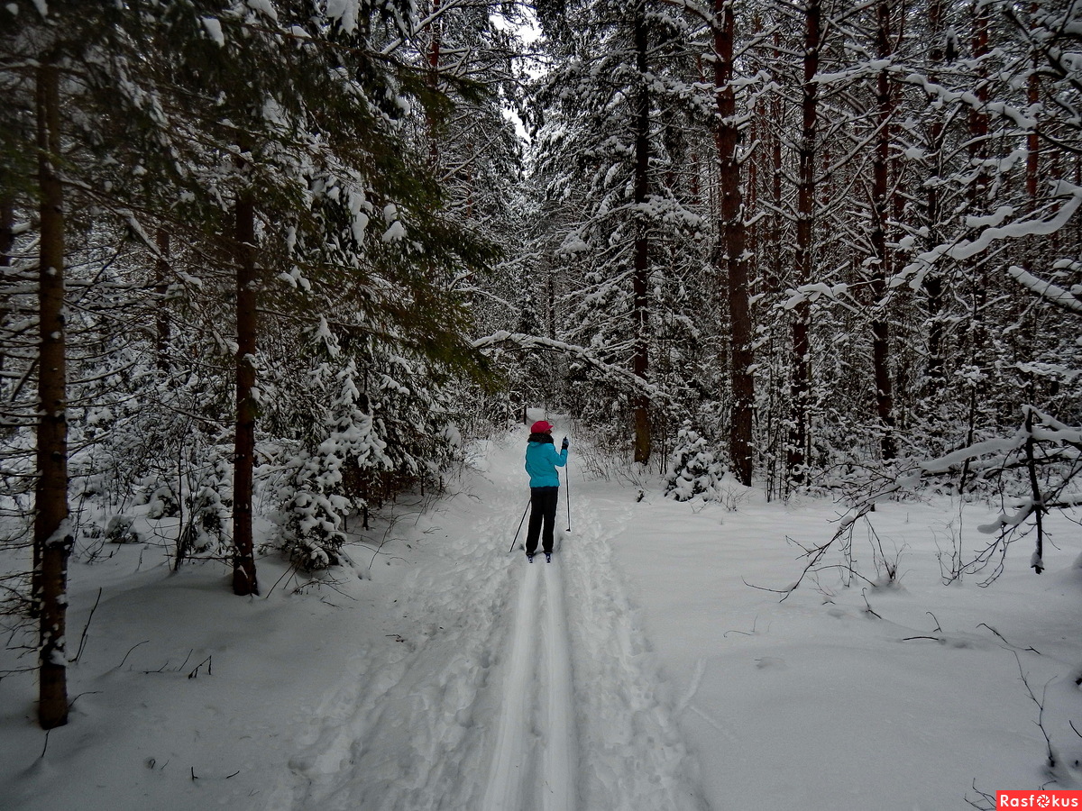 Прогулка в лесу зимой