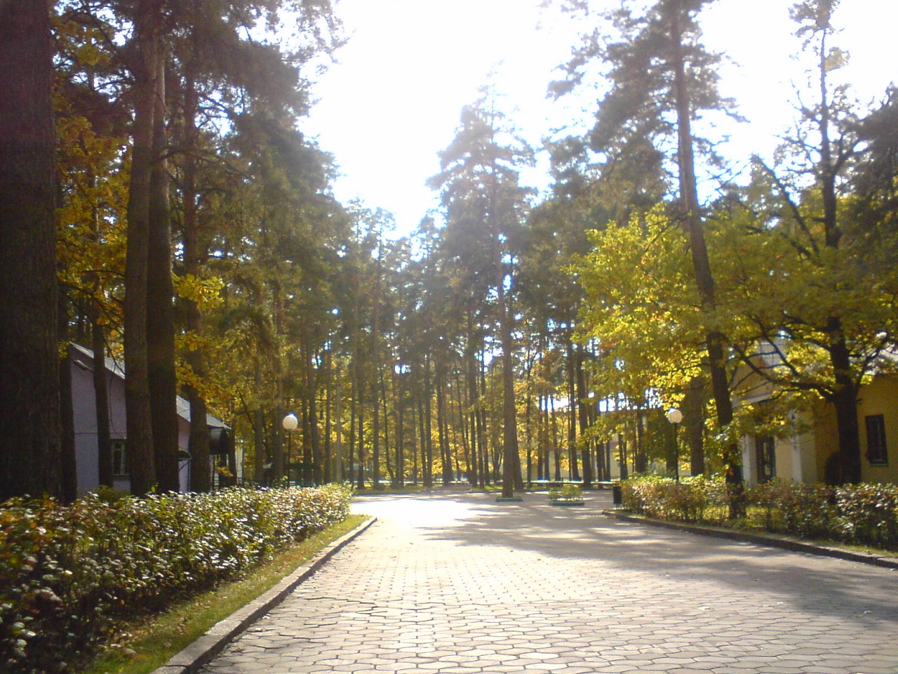 семеновский парк фото