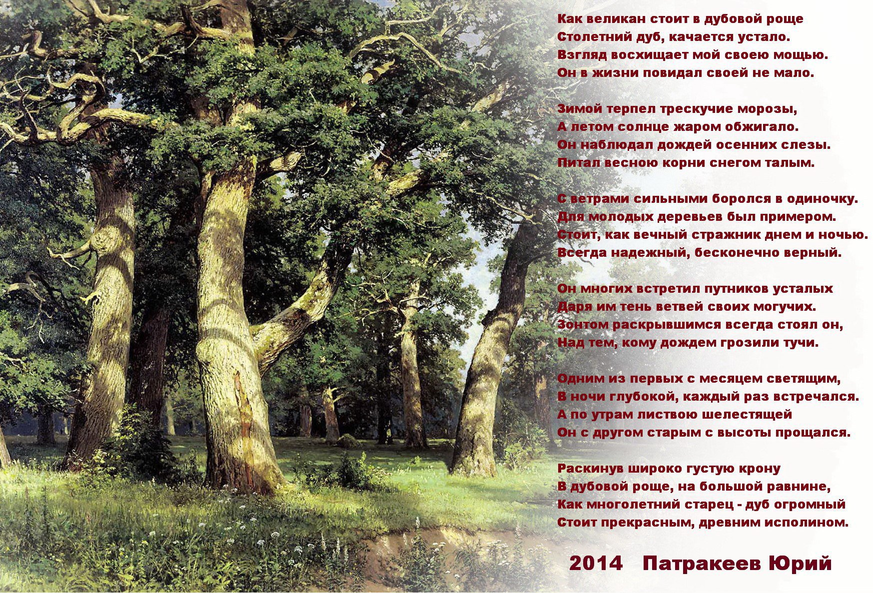 Я живу в россии где дубы песня. Стихотворение про дуб. Стихи про деревья. Стихотворение про дерево. Дерево на опушке леса.