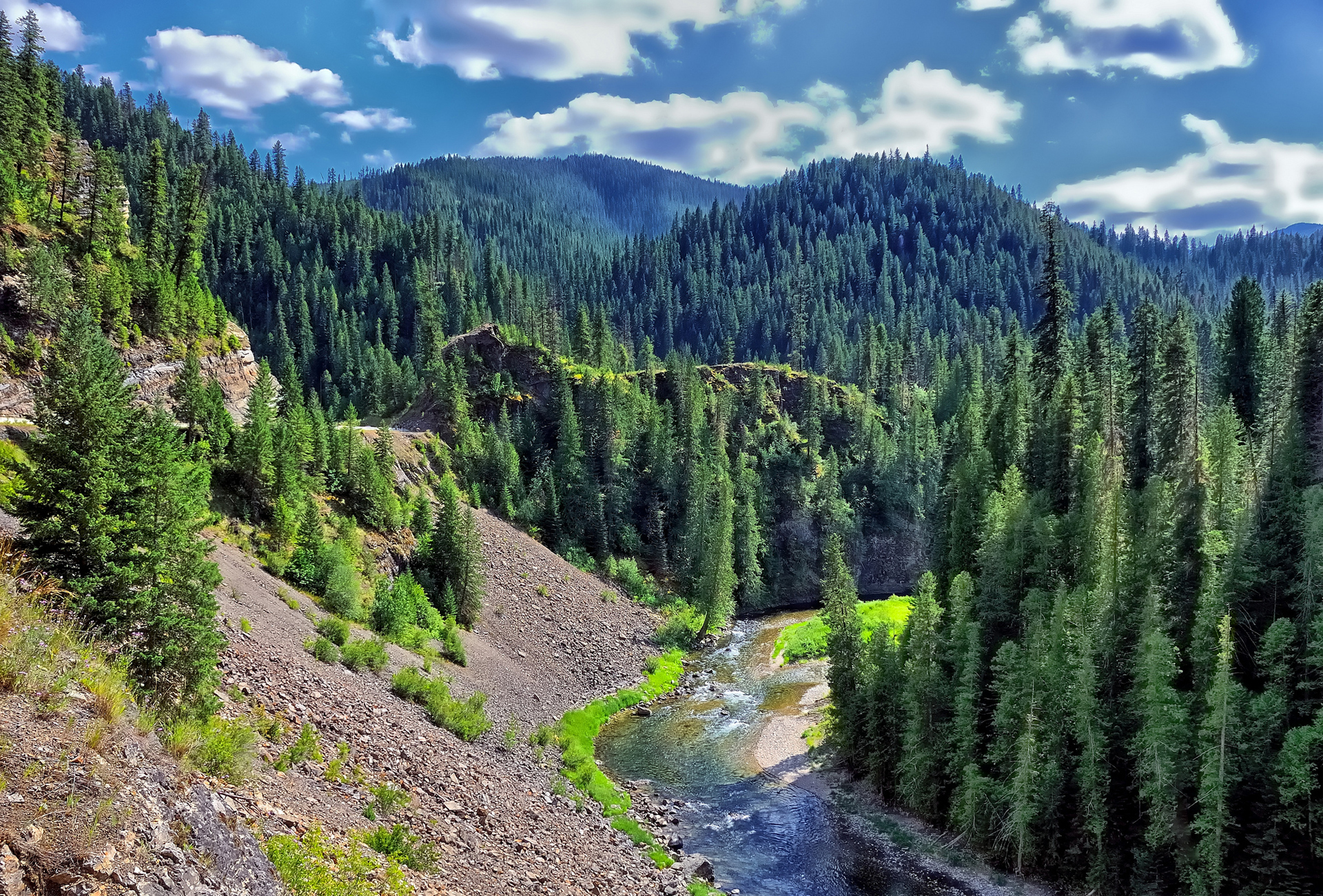 Хвойная долина. Тайга (хвойные леса) реки Сыктывкар. Горный хвойный лес в Киргизии. Лесистые горы Казахстана. Долина реки Айдахо.