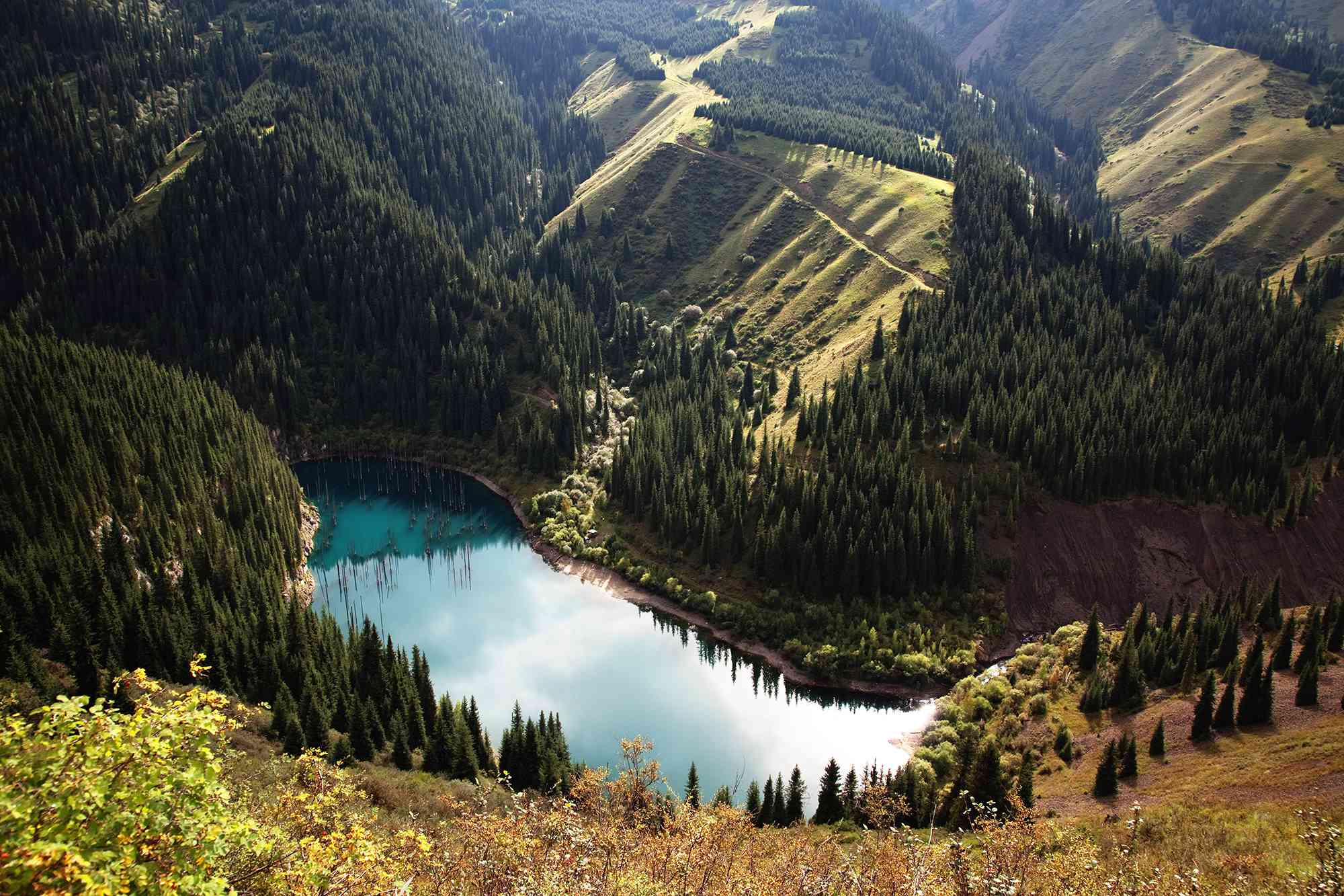Алматы горное озеро с деревьями