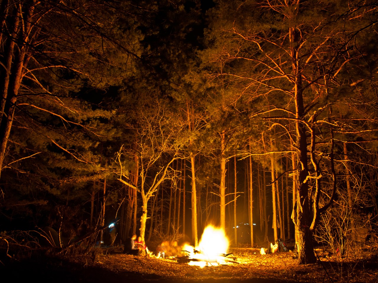 Кипит в лесу. Костер в лесу. «Ночь в лесу». Костёр в лесу ночью. Ночной лес.