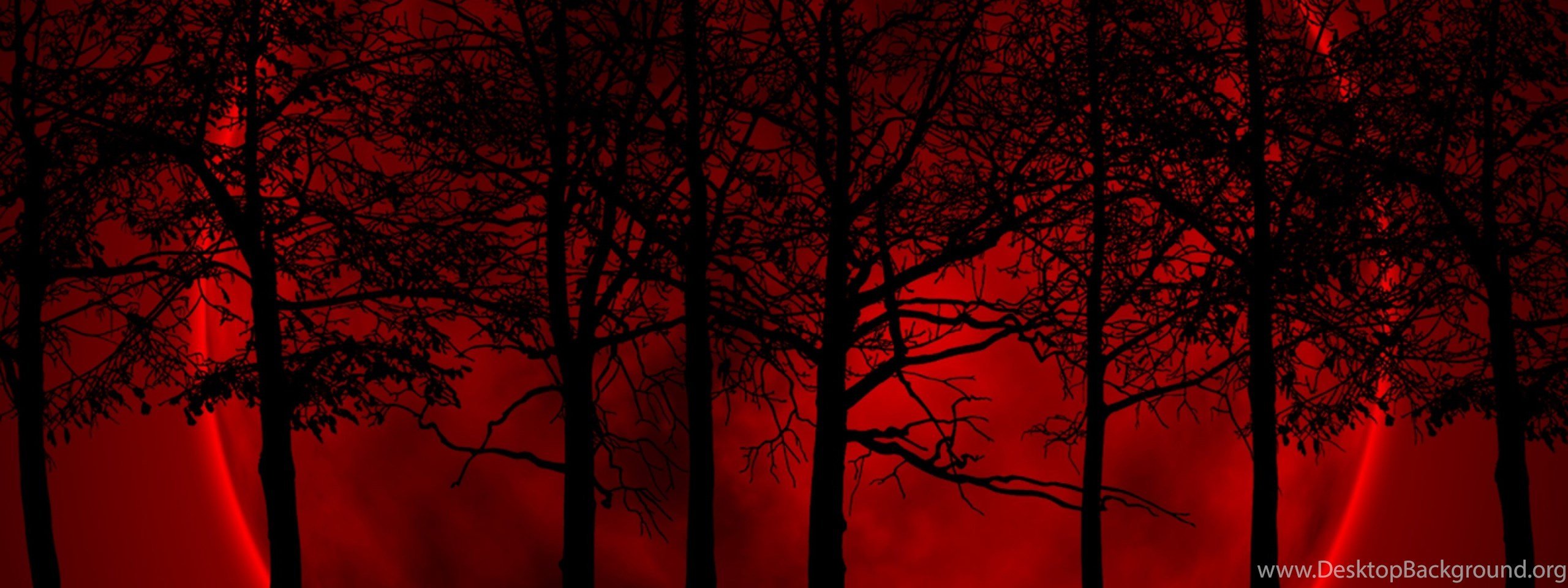 Кровавая Луна в лесу