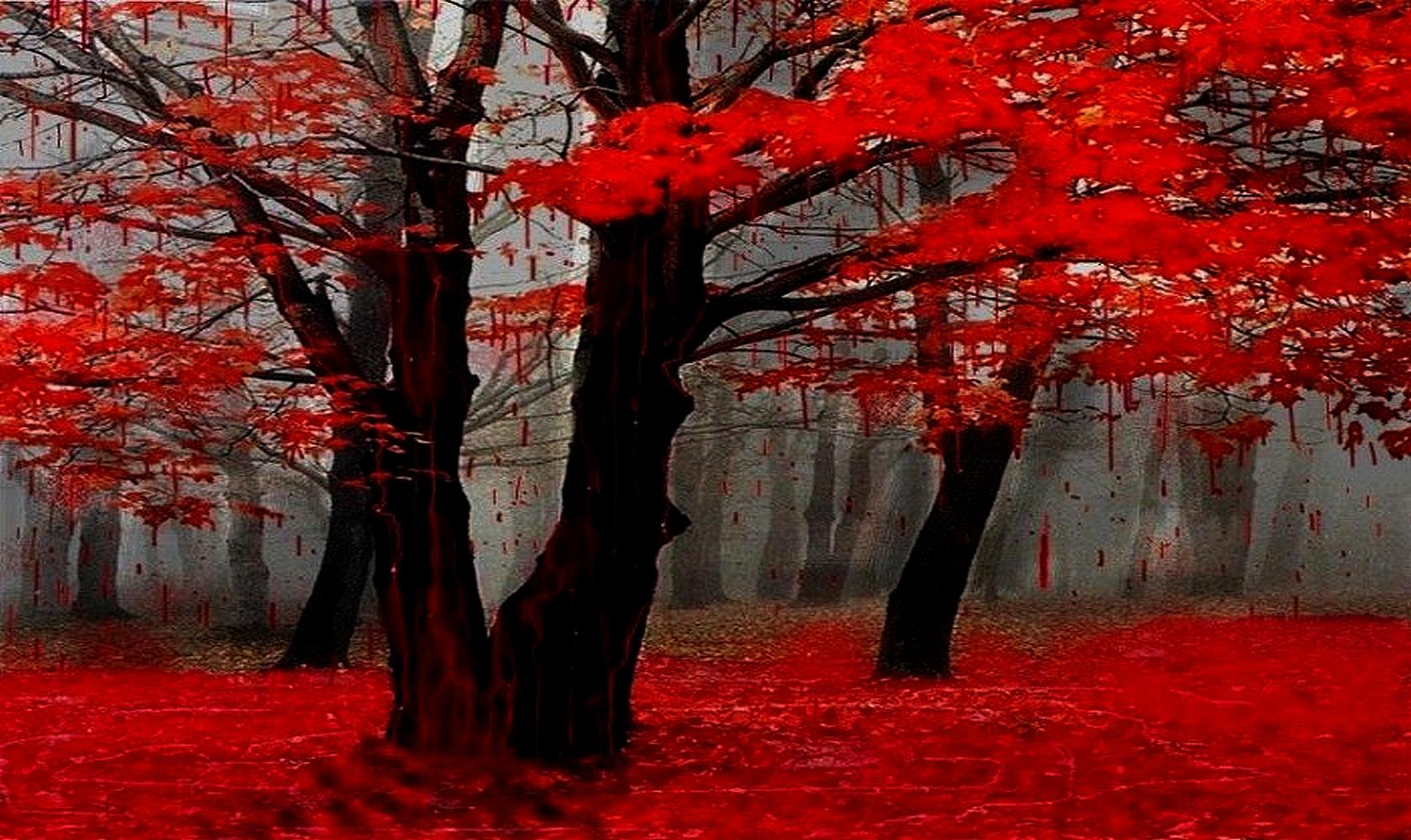 Красное кровавое дерево