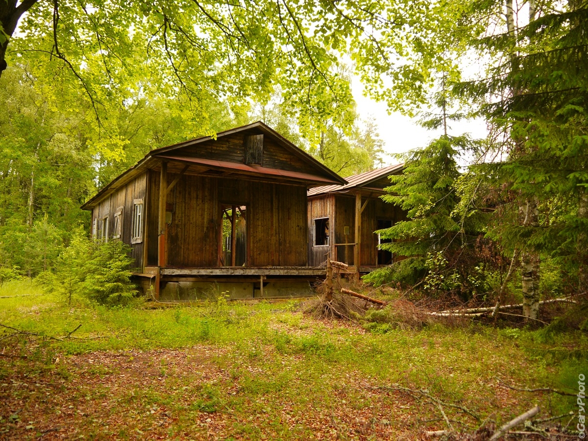 Фото летнего домика в лесу