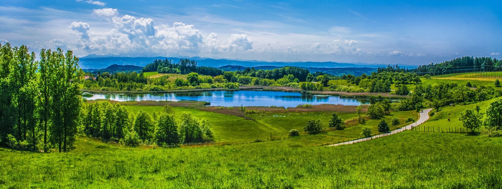 Панорама озеро лес