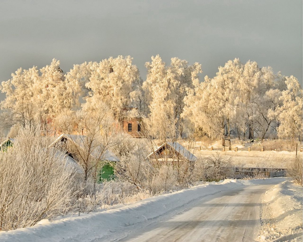 Деревья в снегу в деревне