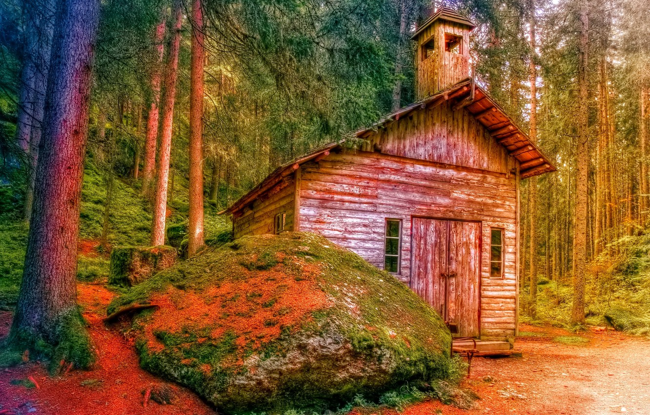 Дома из камня в лесу
