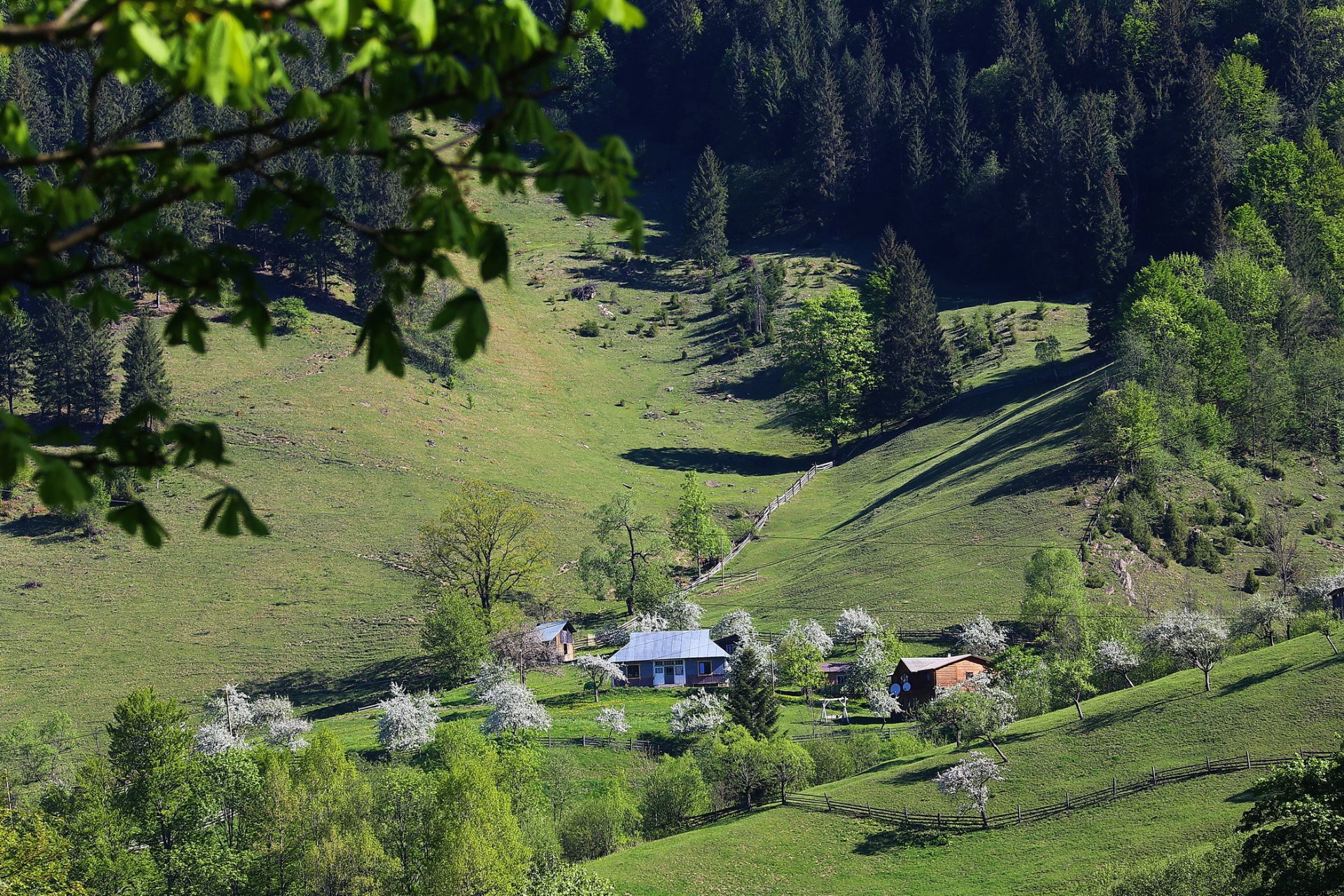 Карпатские горы деревня