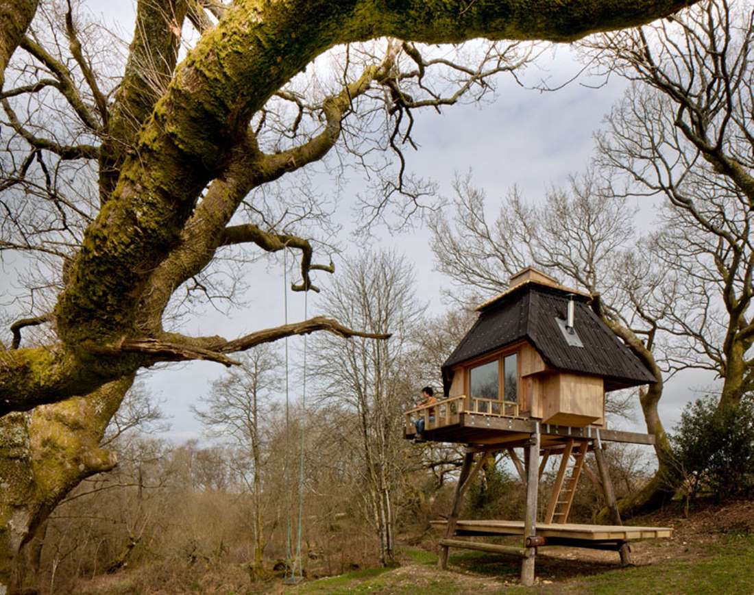 Дерево хат. Домик на дереве. Деревянный домик на дереве. Небольшой домик на дереве. Домик на дереве в лесу.
