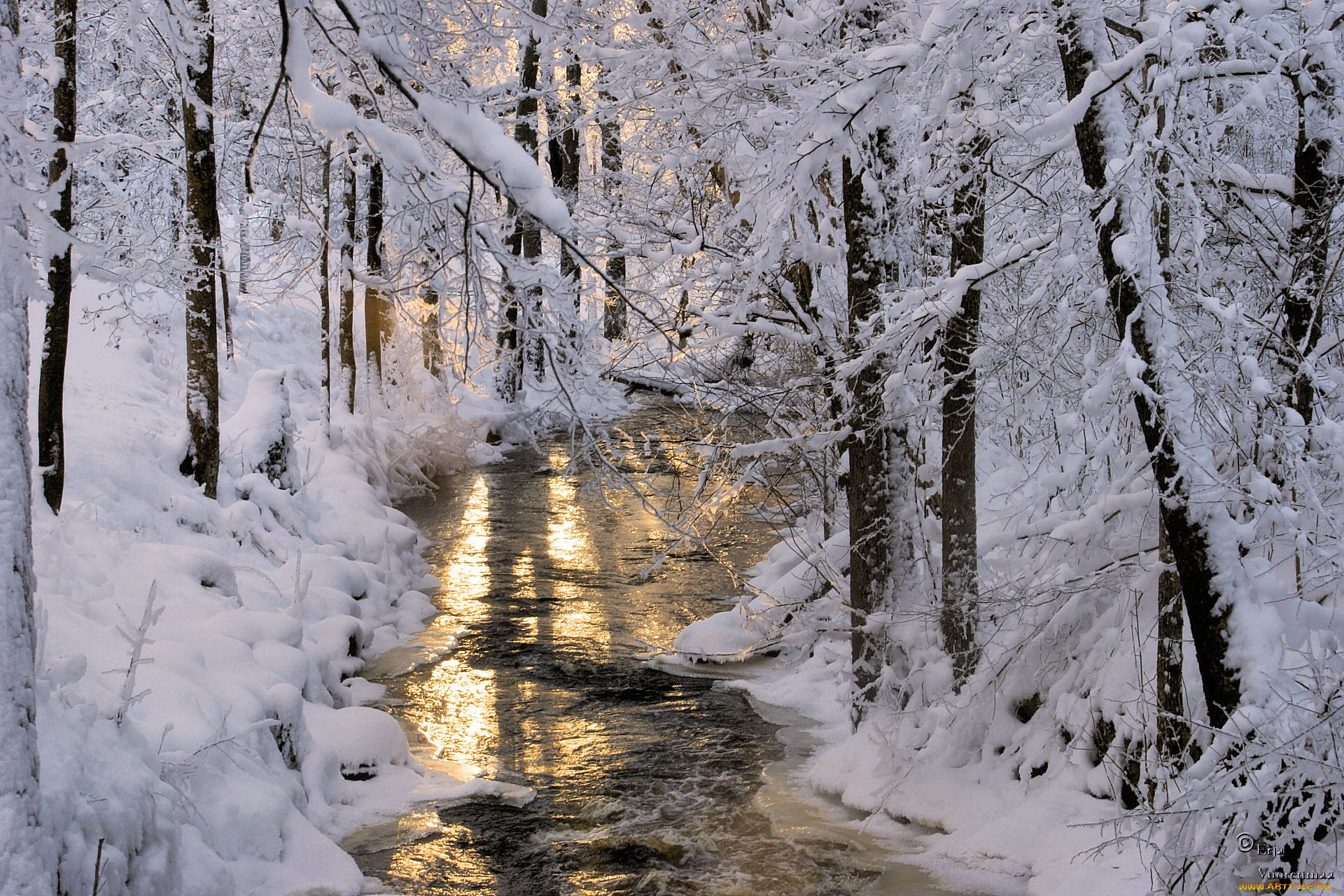Падающий снег весной. Зимняя природа. Красивая зима. Зимний ручей. Красивый зимний лес.