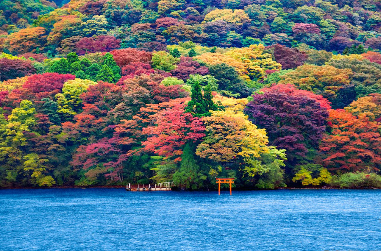 Осенний пейзаж в Хаконэ, Япония