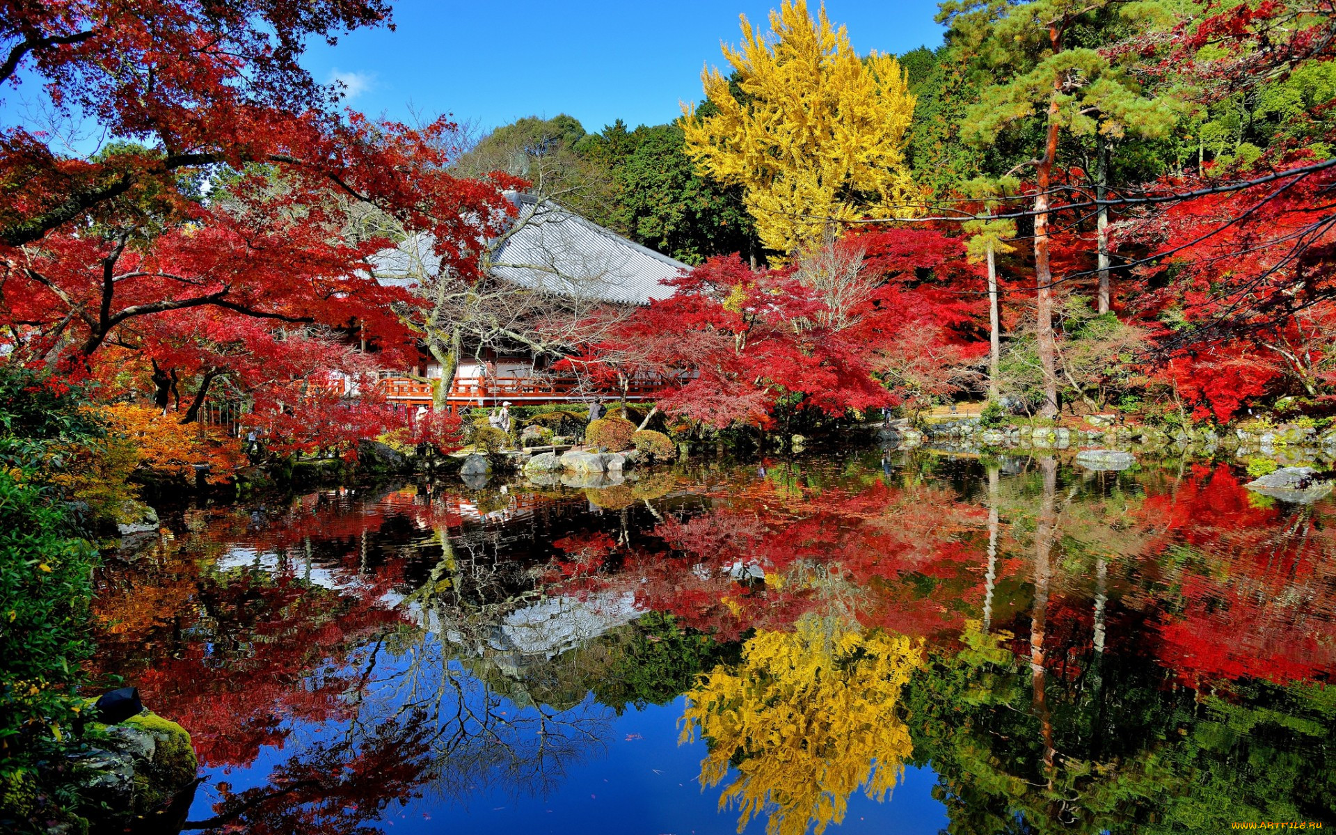 Япония город Киото природа