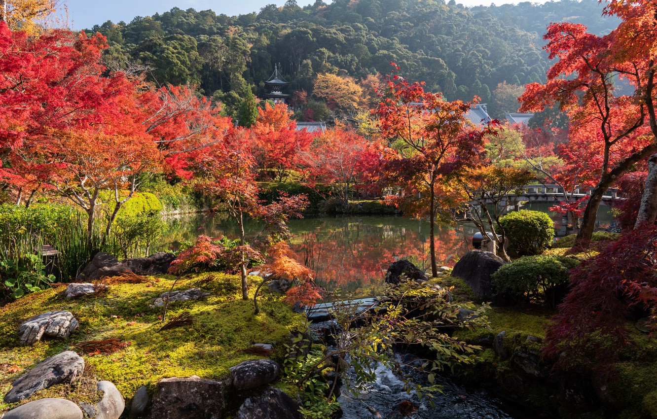 Киото Япония осень Фудзияма