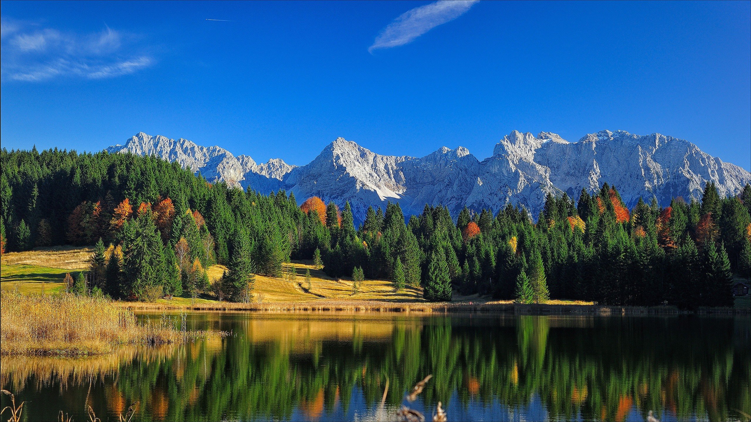 Лес озеро горы Альпы