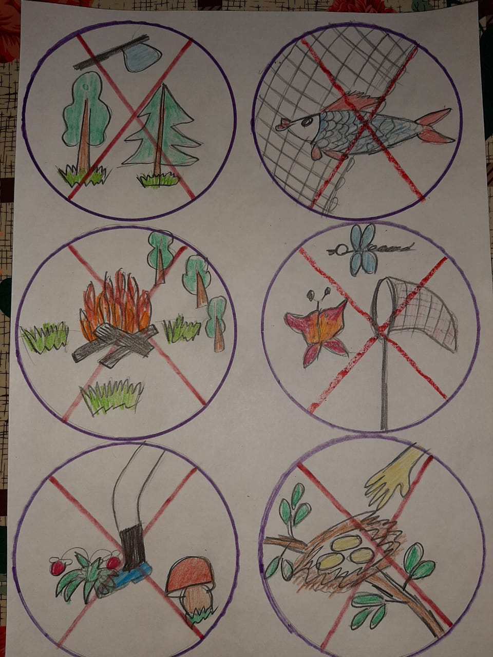 Экологические знаки для дошкольников в картинках
