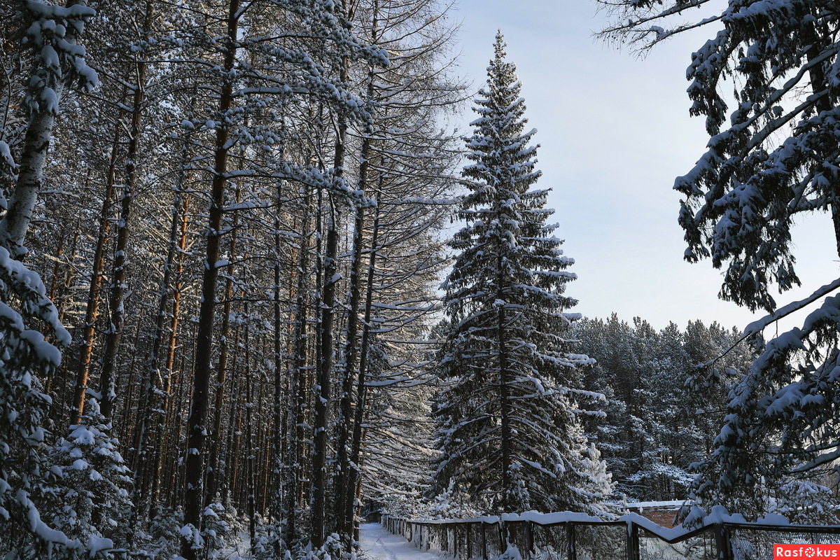 Фото природы Североуральск зимой