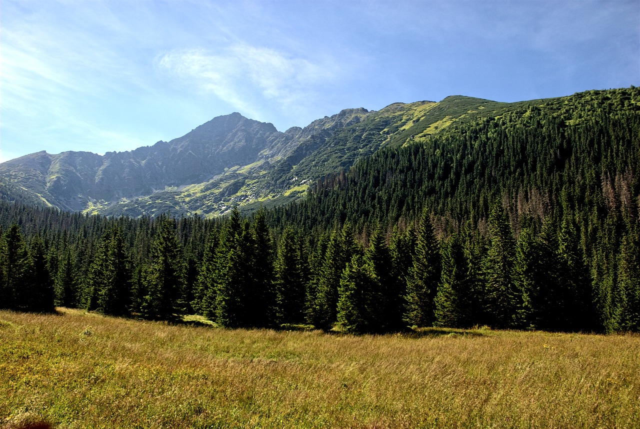 Словакия горы