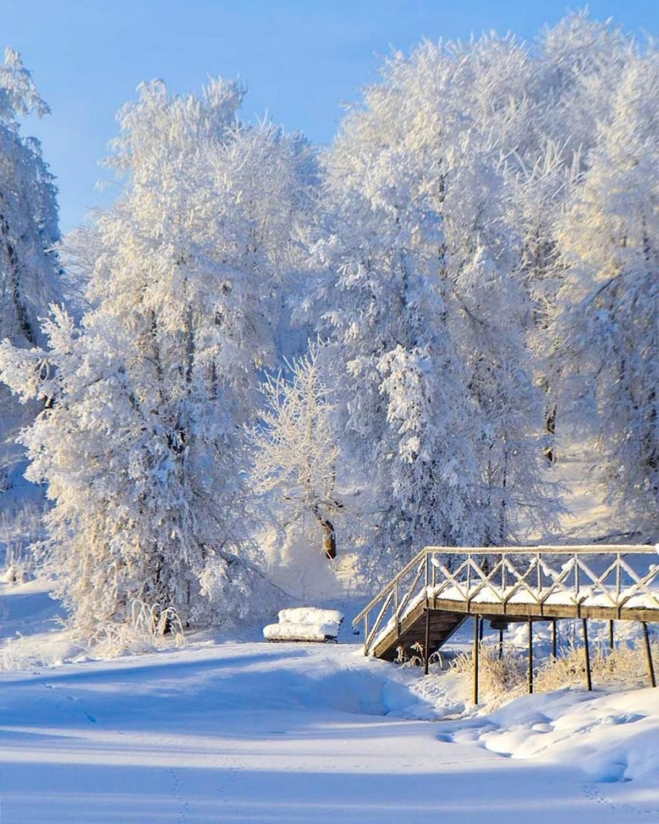 природа зима фото самые красивые