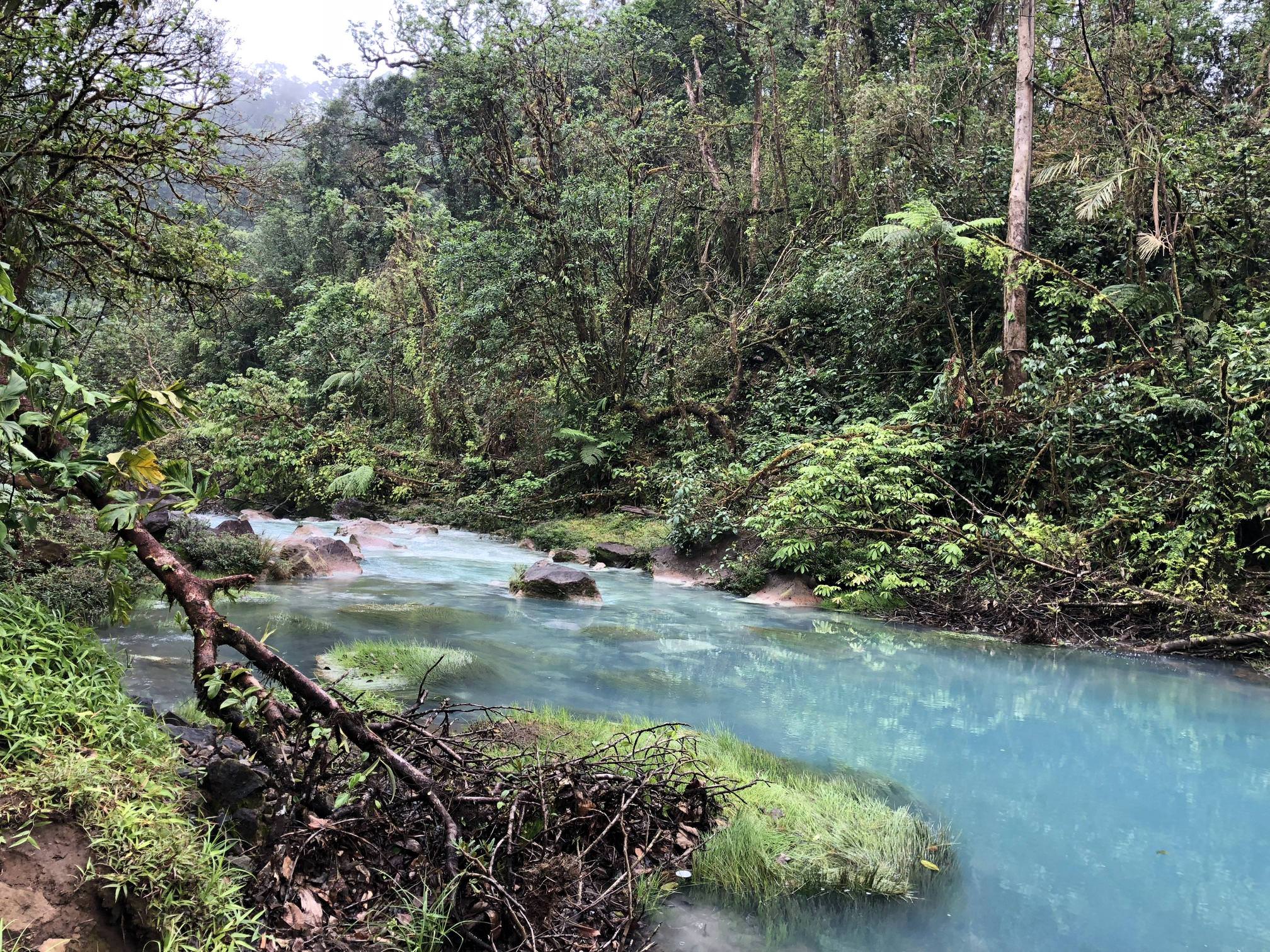 Красивые леса Коста-Рики