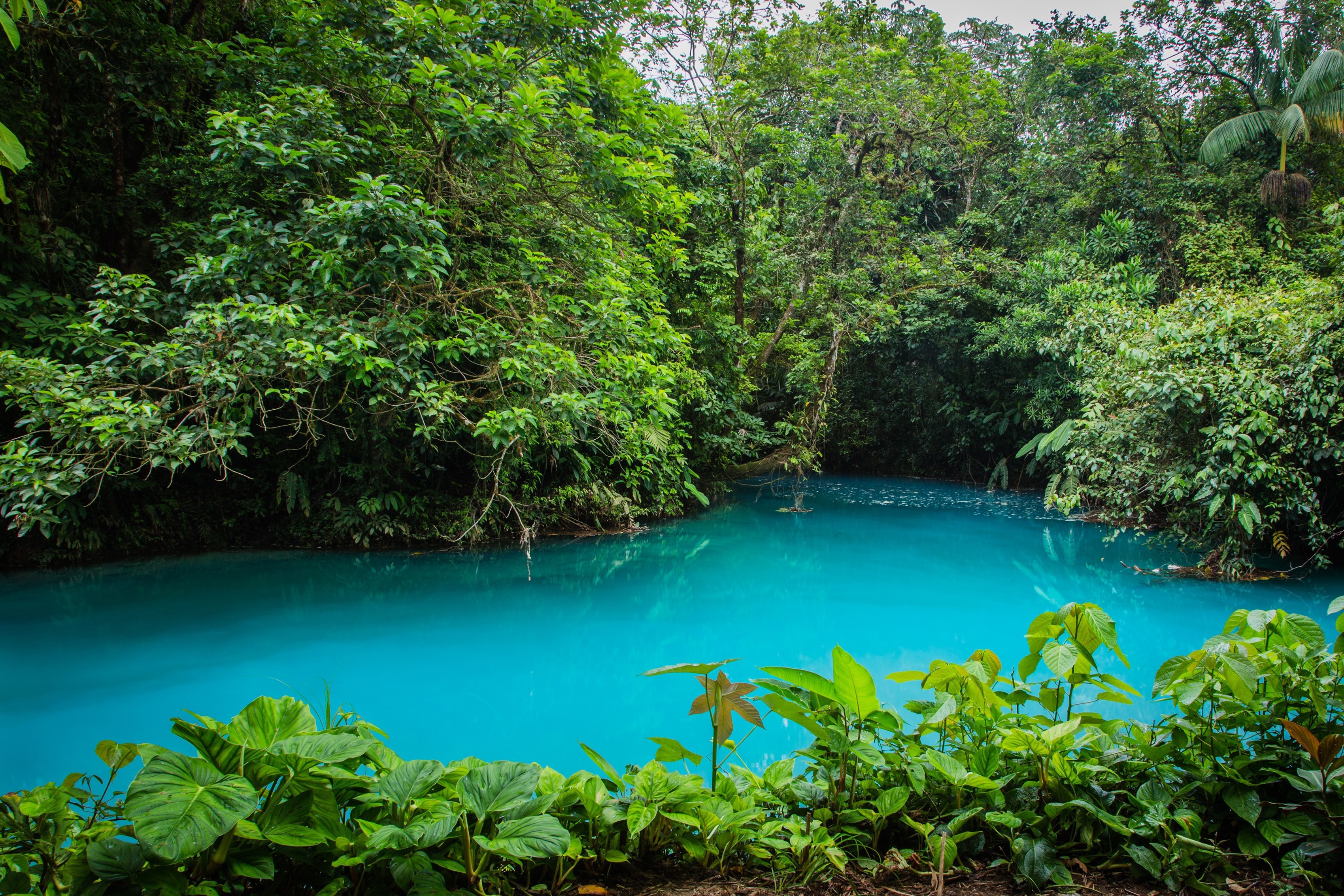 Природа Коста-Рики (71 фото) .