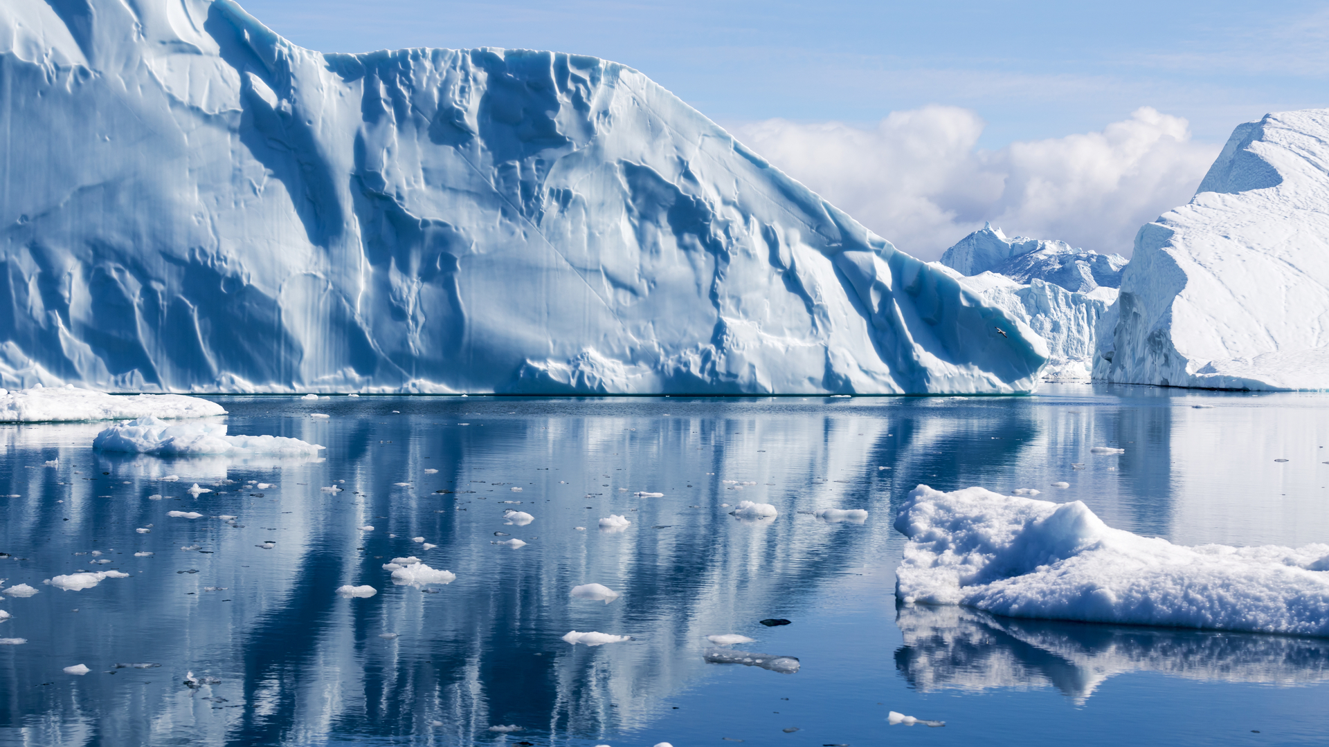 Северный Ледовитый океан Арктика и Антарктика