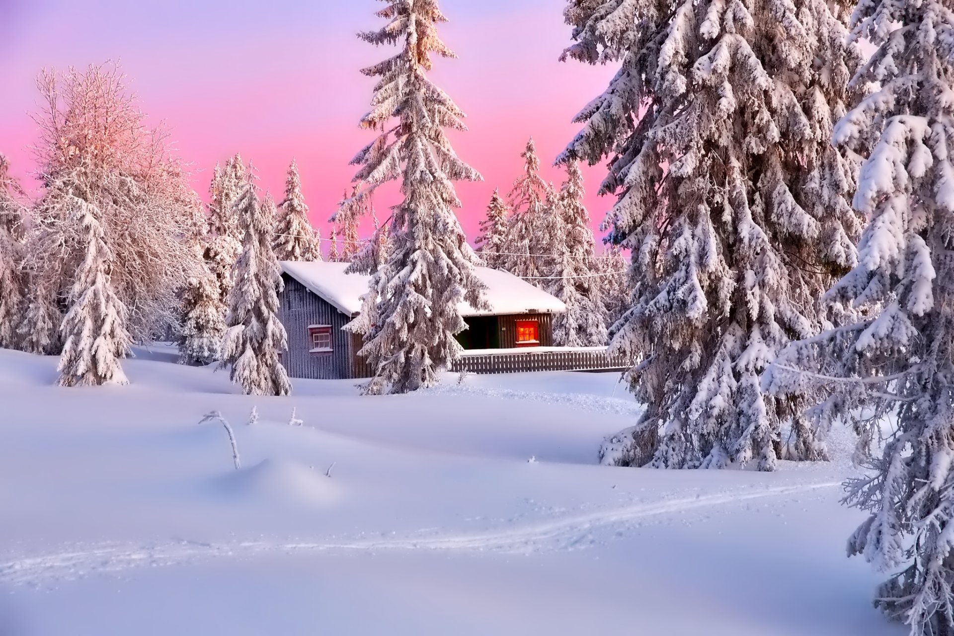 лучшие фото природы зима