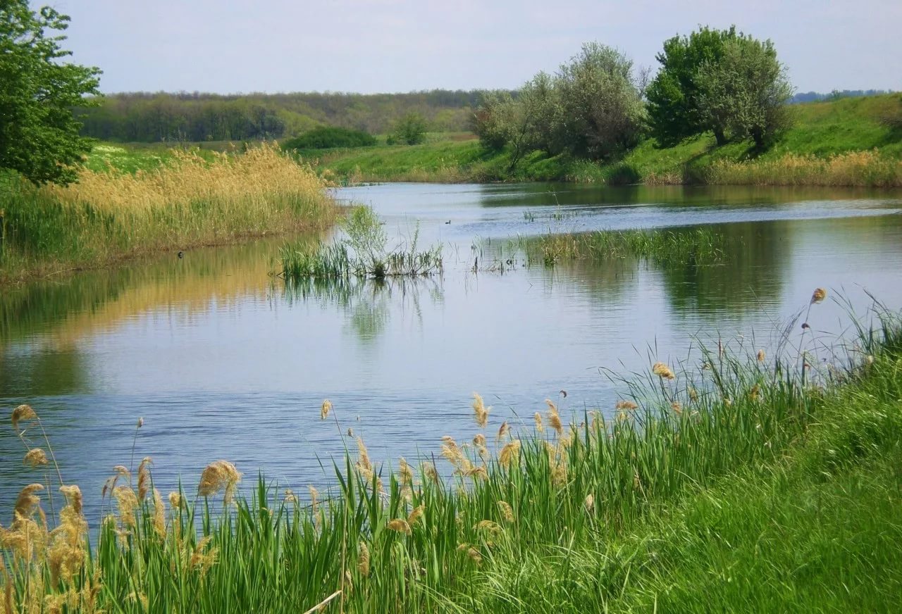 Лето на речке в Усмани Липецкой области
