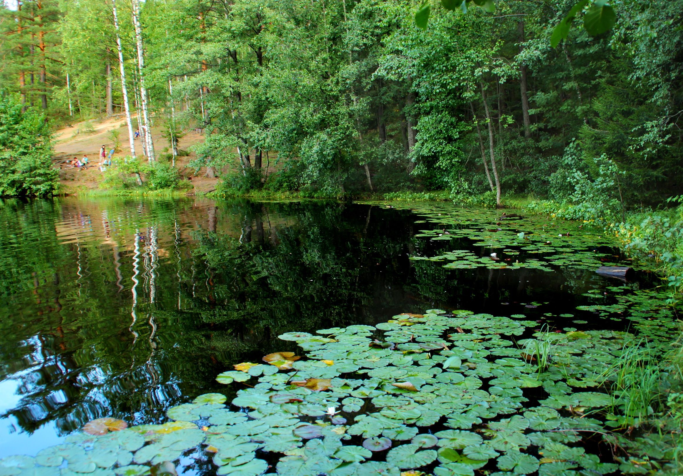 Памятник природы: озеро Солька