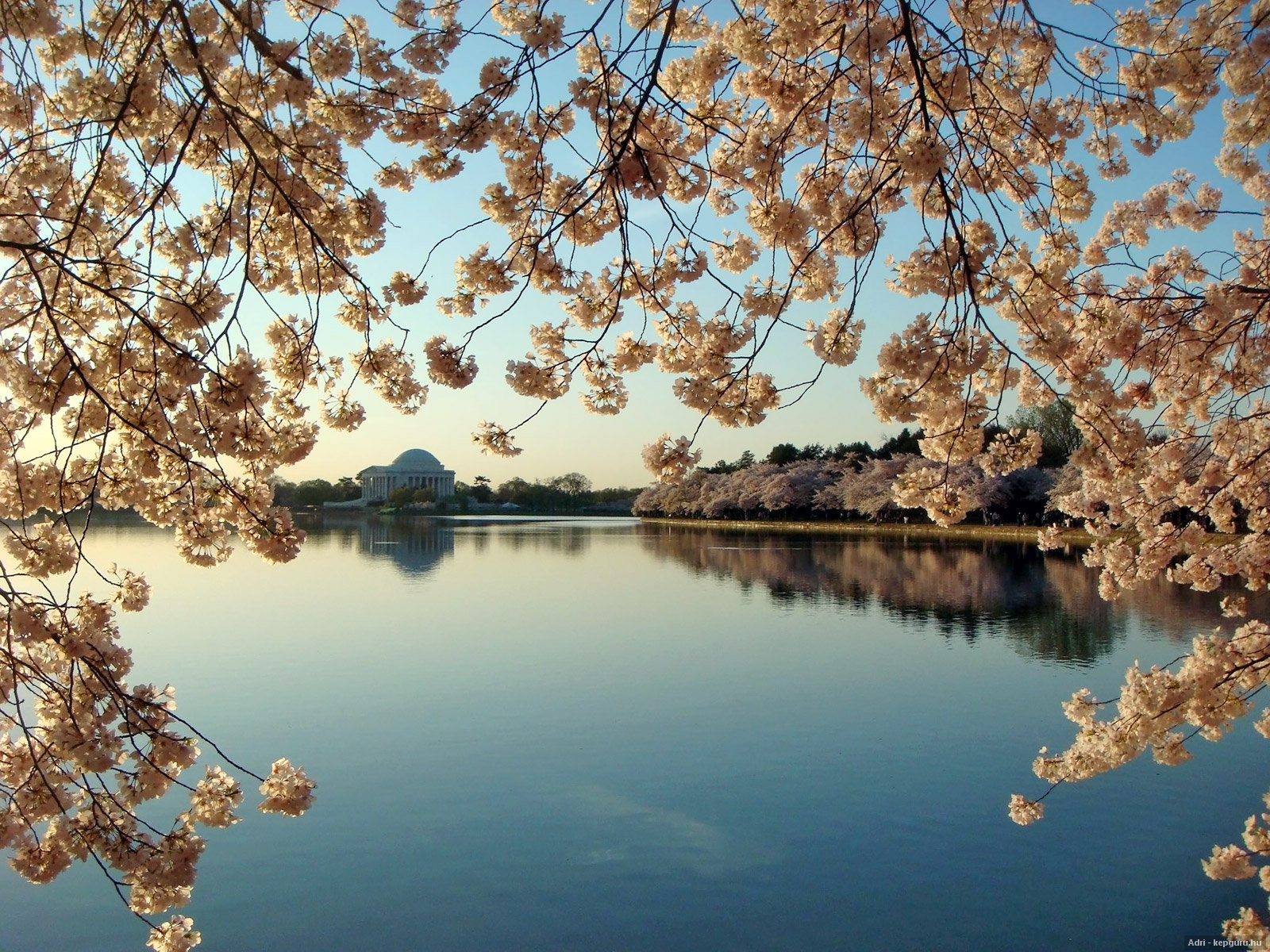 Весна цветение +озеро