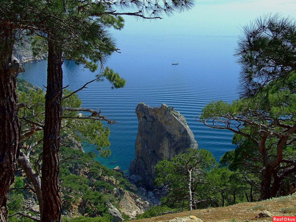 Природа Южного берега Крыма