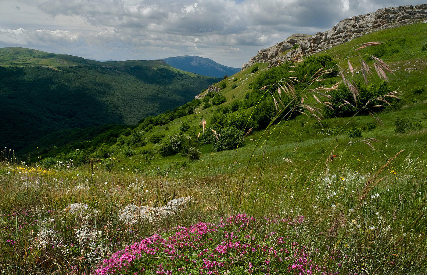 Природа горного Крыма