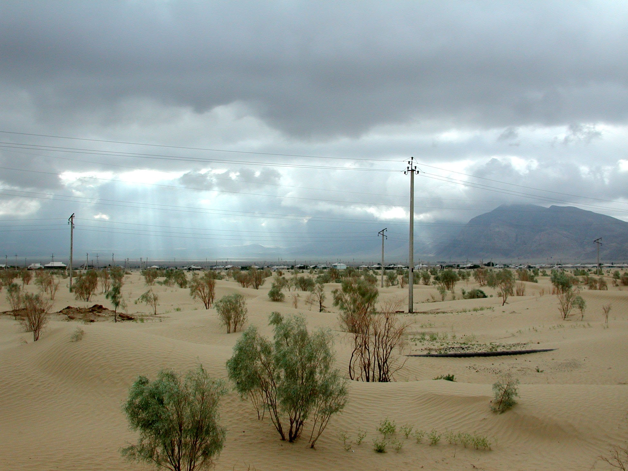 Туркменистан природа пустыня