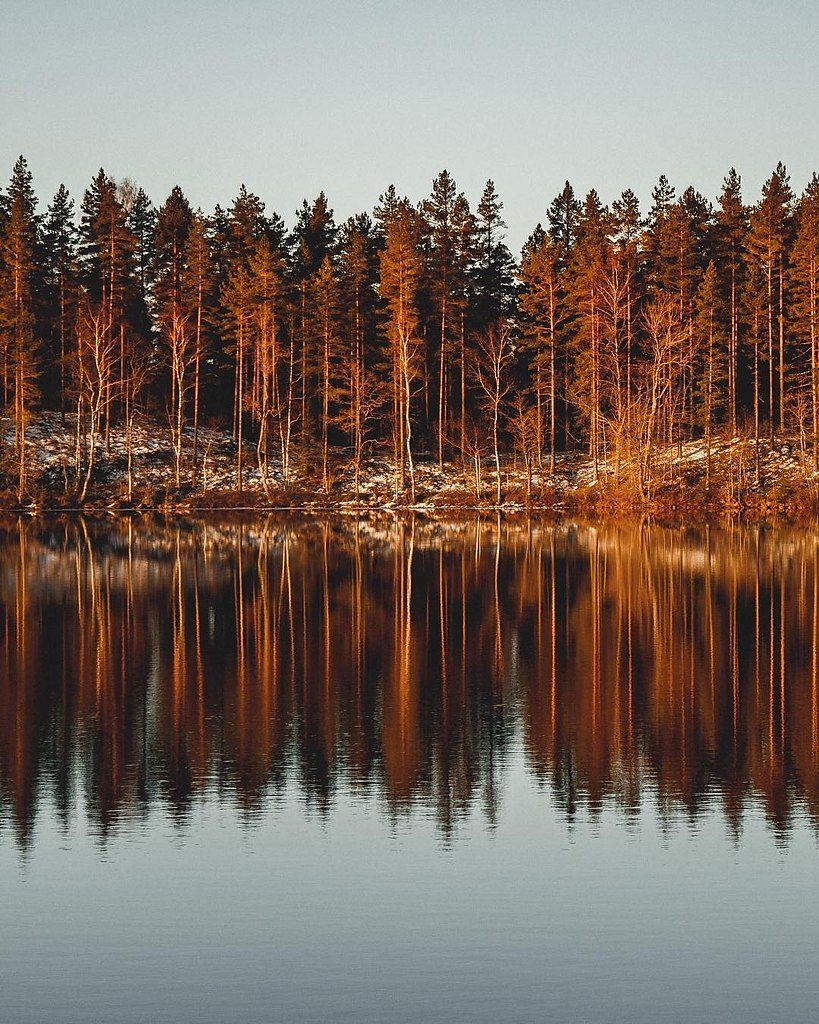 Финляндия Хельсинки природа