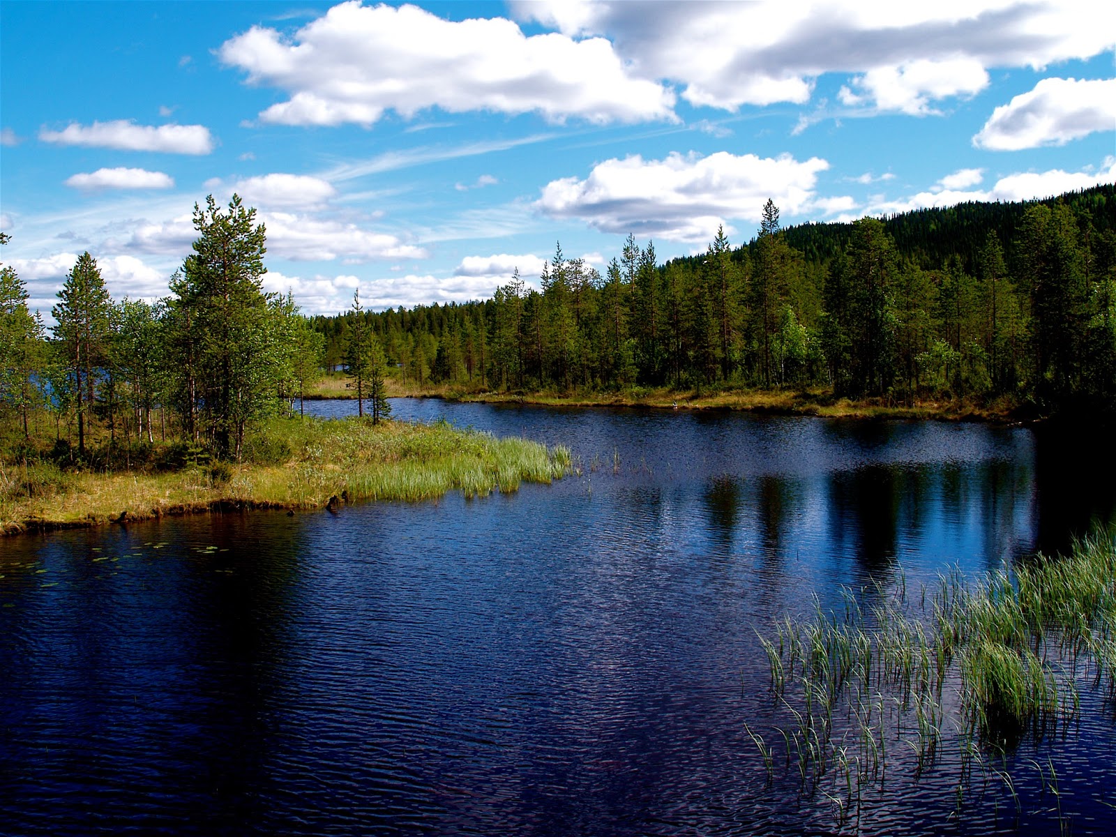 Финляндия она богата лесами и озерами