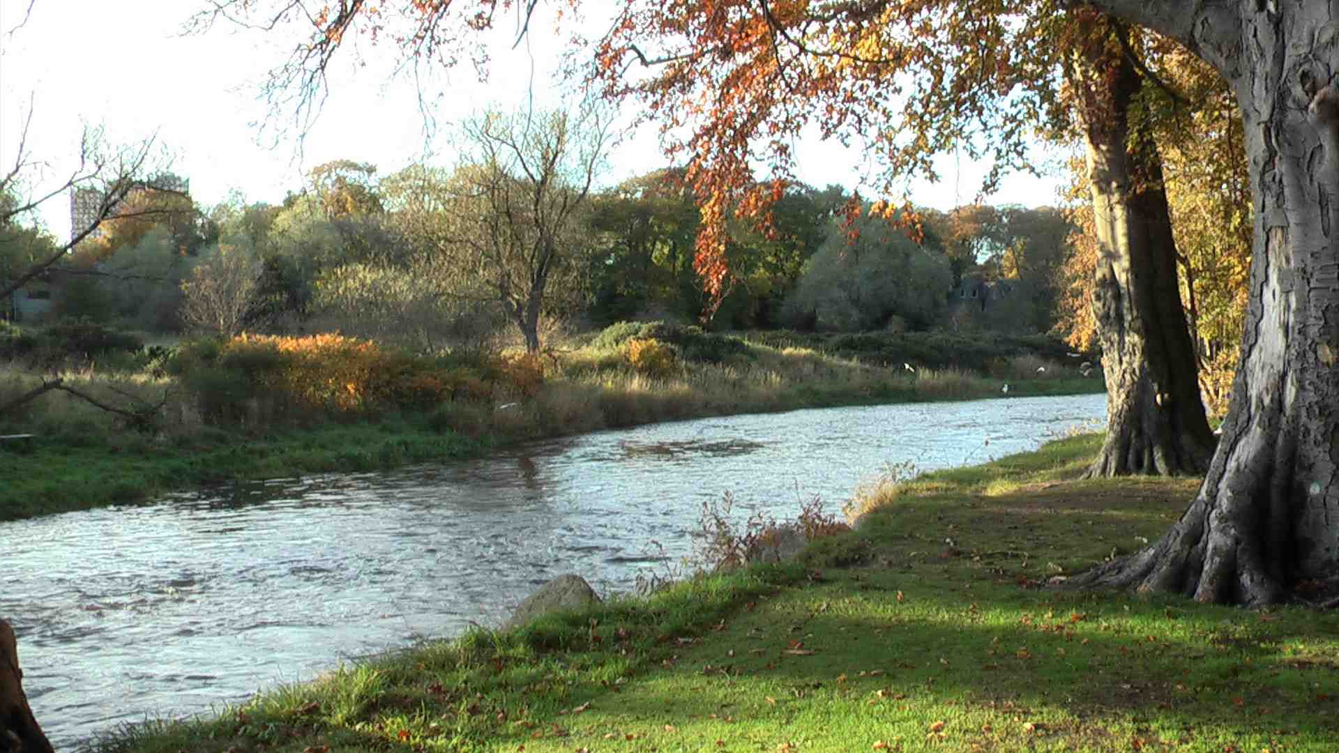 Река малый Койсуг