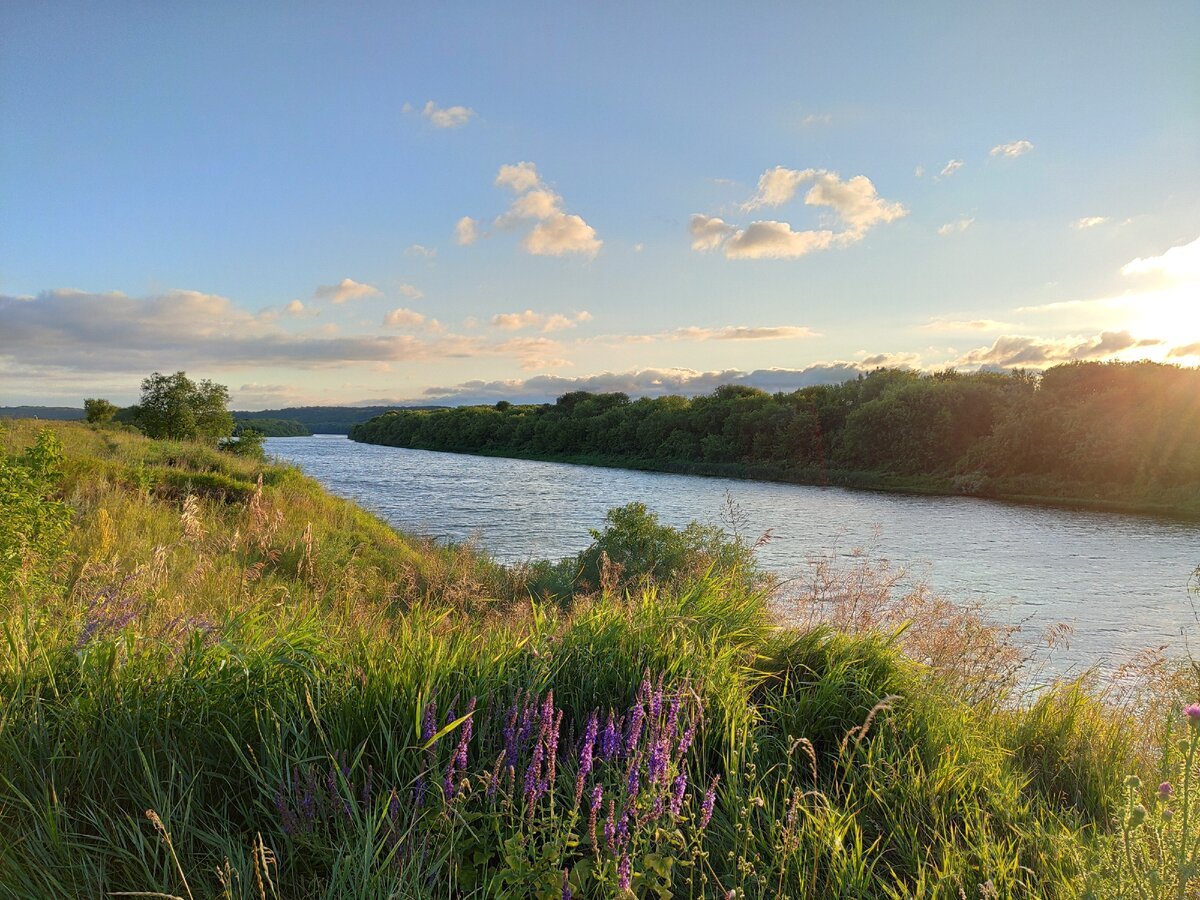 Река Дон в Ростовской области