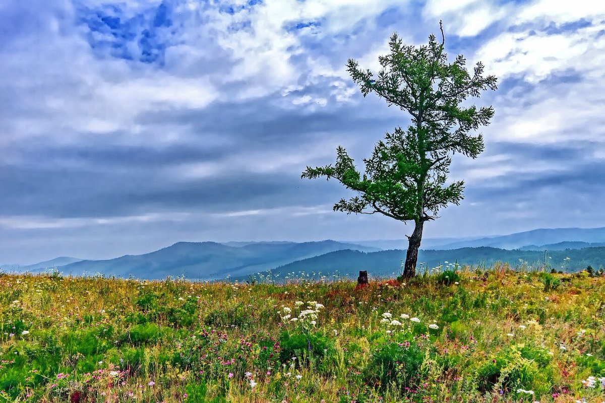 Природа забайкальского края фото хорошего качества