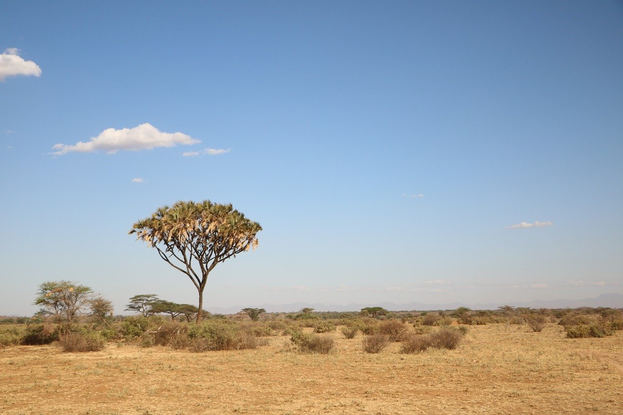 Опустыненные саванны Африки
