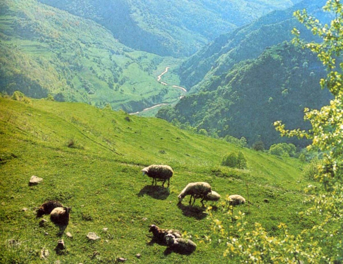 Горная природа Дагестан