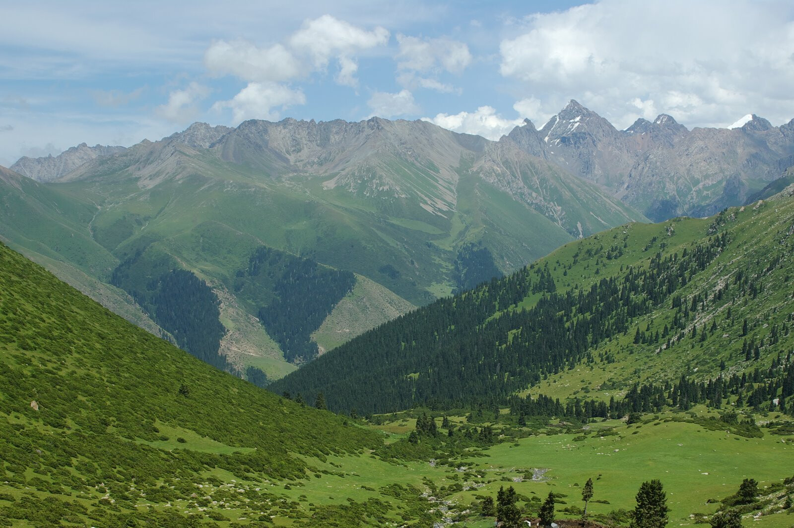 Природа горы Кыргызстана Токтогул