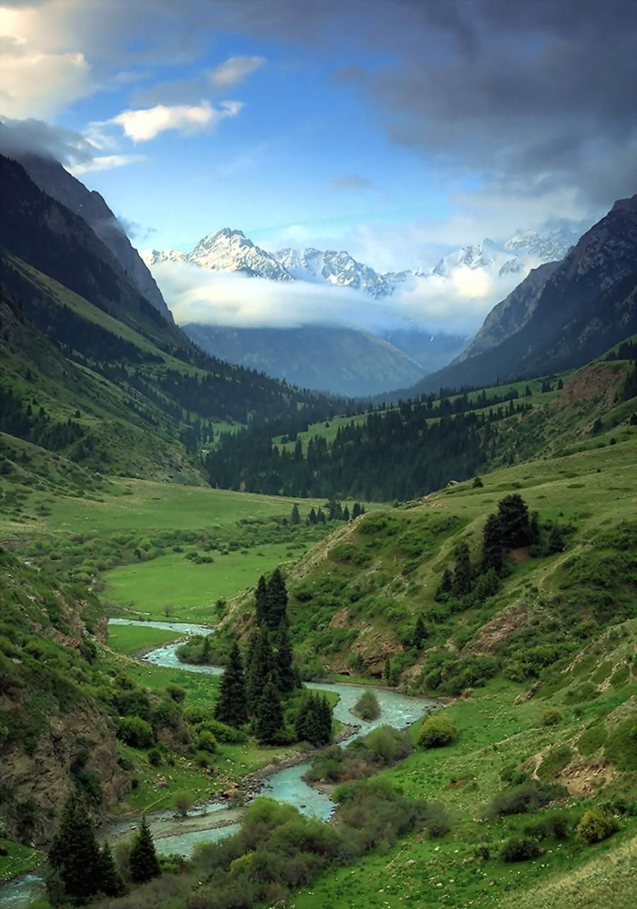 Top regions. Киргизия горы Долина Арашан. Ущелья Кыргызстана. Ущелье Джууку. Ущелье жуукк Кыргызстан.