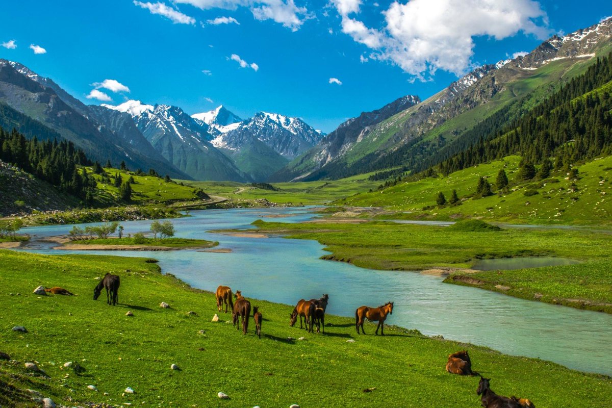 Фото природы казахстана в высоком качестве